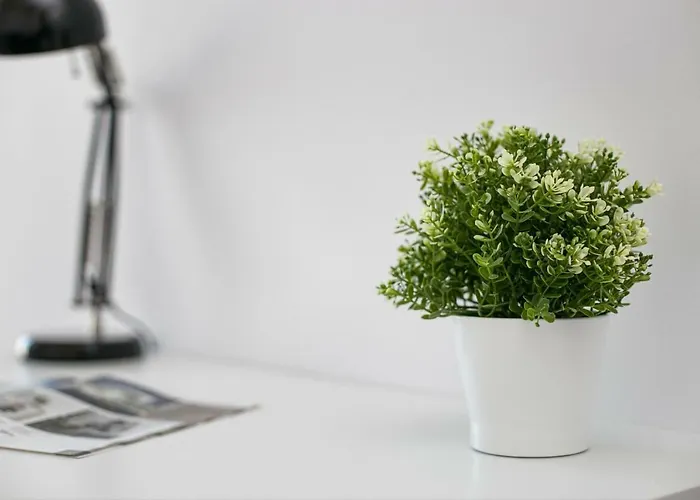 民宿 Rooms4less 格但斯克